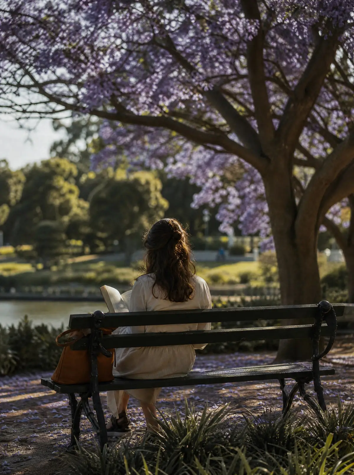 A woman seen from behind reading on a park bench beneath a flowering jacaranda tree